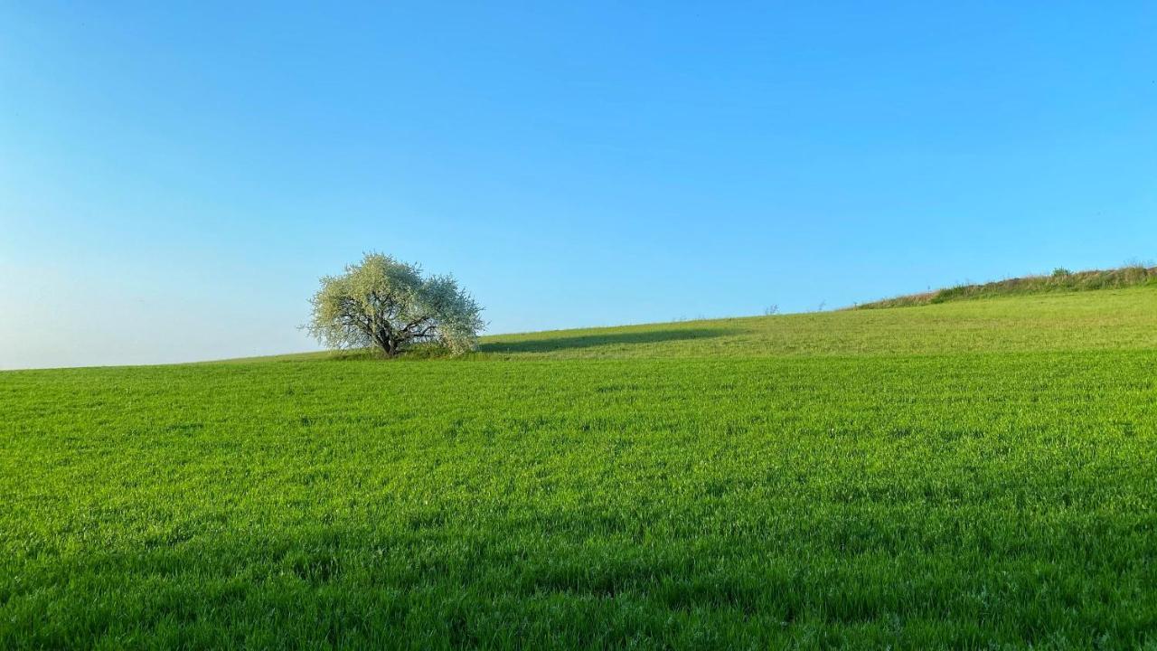 Agriturismo Albana Castiglione Delle Stiviere Exterior foto